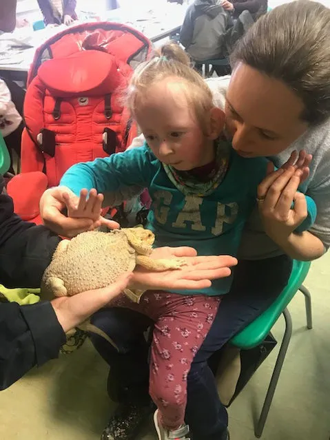 A girl is sitting on a woman's lap whilst stretching her hand out to pet a lizard.